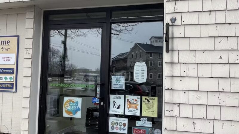 Lucky Dogs - Skaneateles, NY