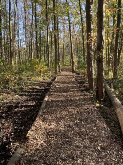 Peter C Vargason Nature Trail - Skaneateles, NY