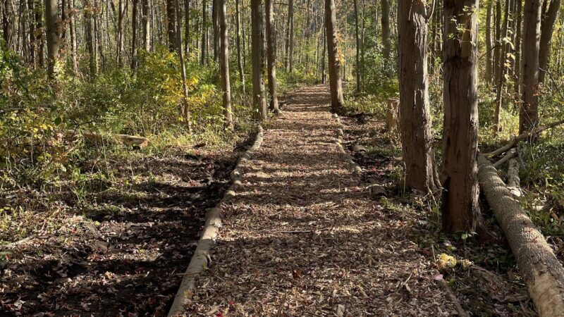 Peter C Vargason Nature Trail - Skaneateles, NY