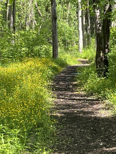 Peter C Vargason Nature Trail - Skaneateles, NY