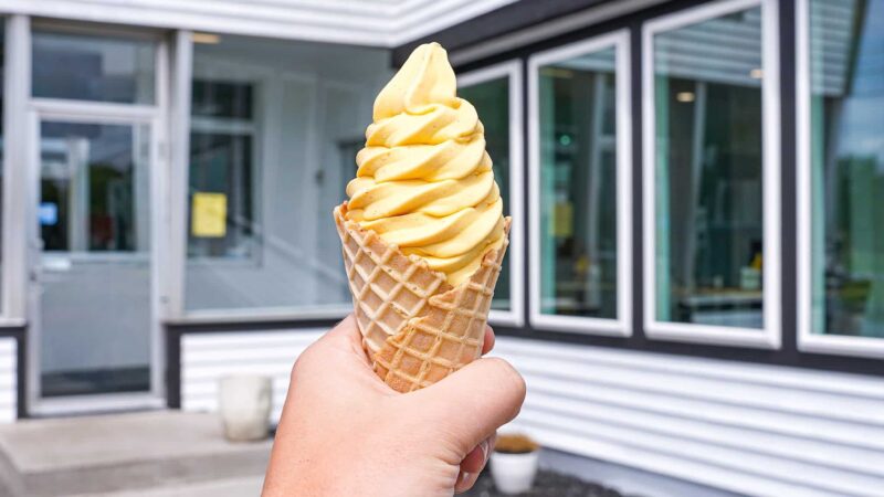 Skan Ellus Drive In - Skaneateles, NY