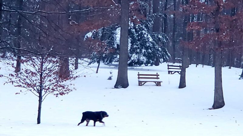 Neffs Church Grove Park - Slatington, PA