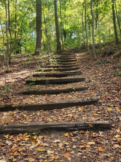 Douglas Park - Sleepy Hollow, NY