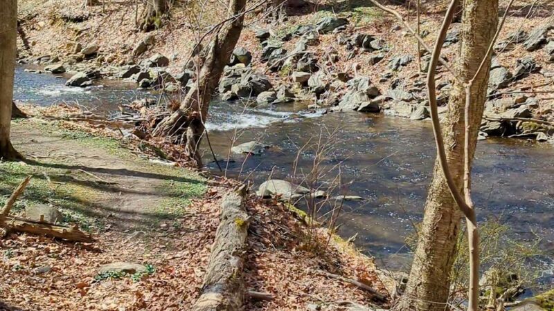 Douglas Park - Sleepy Hollow, NY