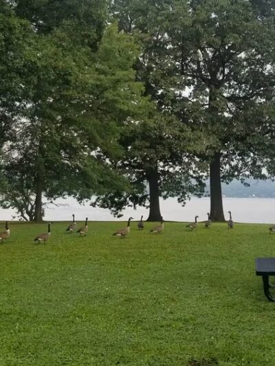 Kingsland Point Park - Sleepy Hollow, NY