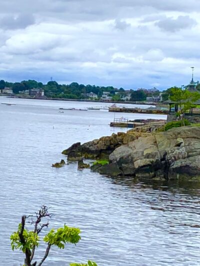 Dog Park - Sleepy Hollow, NY