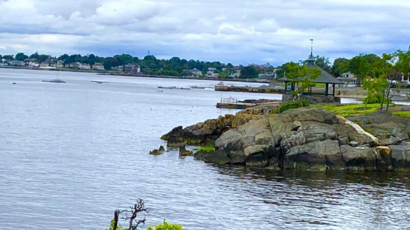 Dog Park - Sleepy Hollow, NY