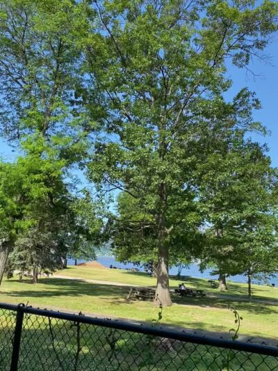 Dog Park - Sleepy Hollow, NY