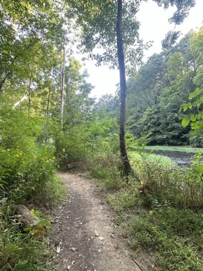 Wolf Creek Narrows Natural Area - Slippery Rock, PA