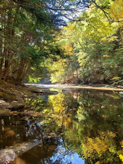 Wolf Creek Narrows Natural Area - Slippery Rock, PA