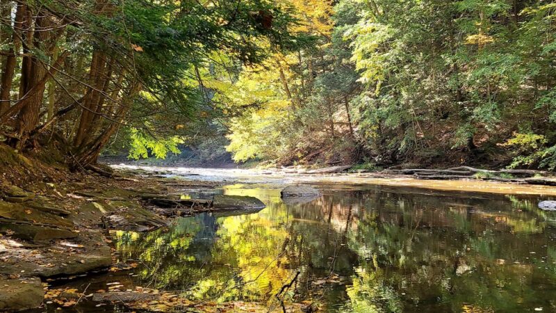 Wolf Creek Narrows Natural Area - Slippery Rock, PA