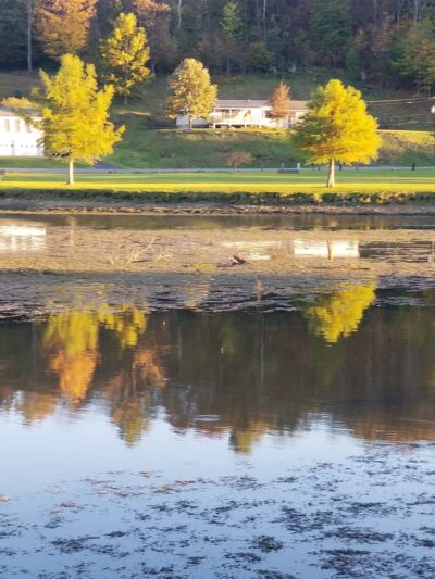 Hamlin Lake Park - Smethport, PA