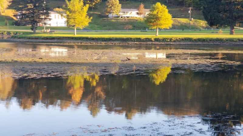 Hamlin Lake Park - Smethport, PA