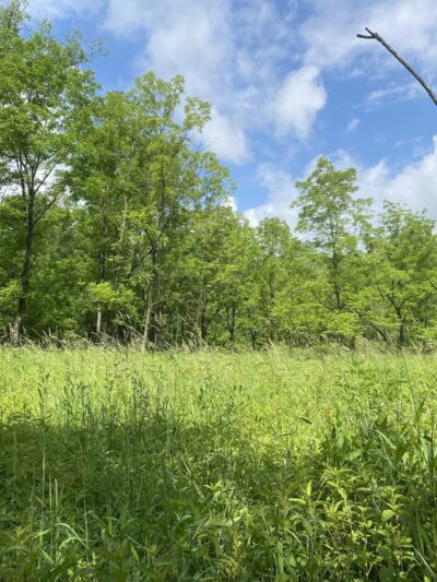 Old Smicksburg Park - Smicksburg, PA