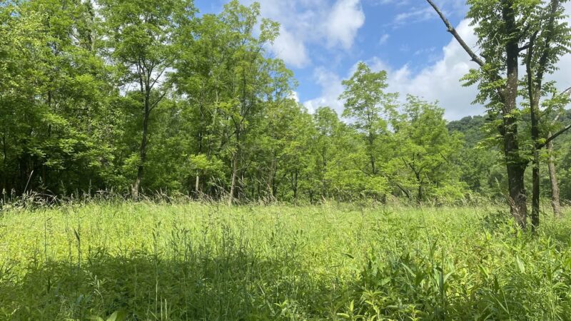 Old Smicksburg Park - Smicksburg, PA