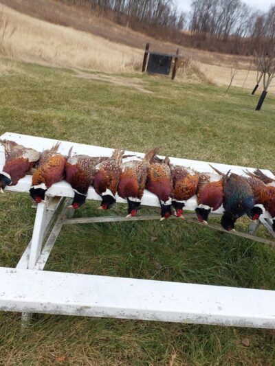 TNT Shooting Grounds - Smock, PA