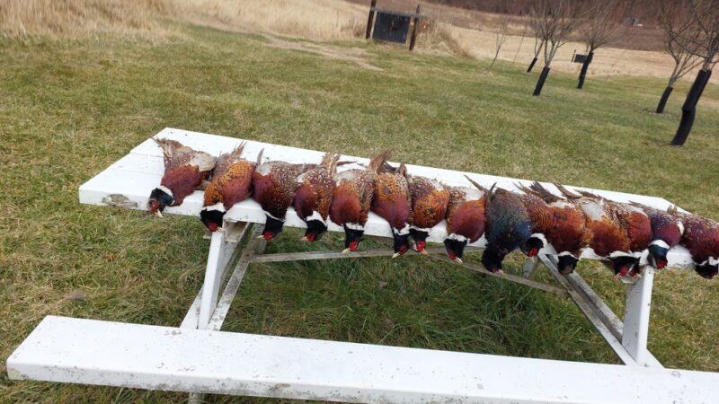 TNT Shooting Grounds - Smock, PA