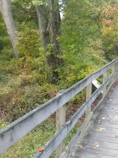 Big Oak County Park - Smyrna, DE