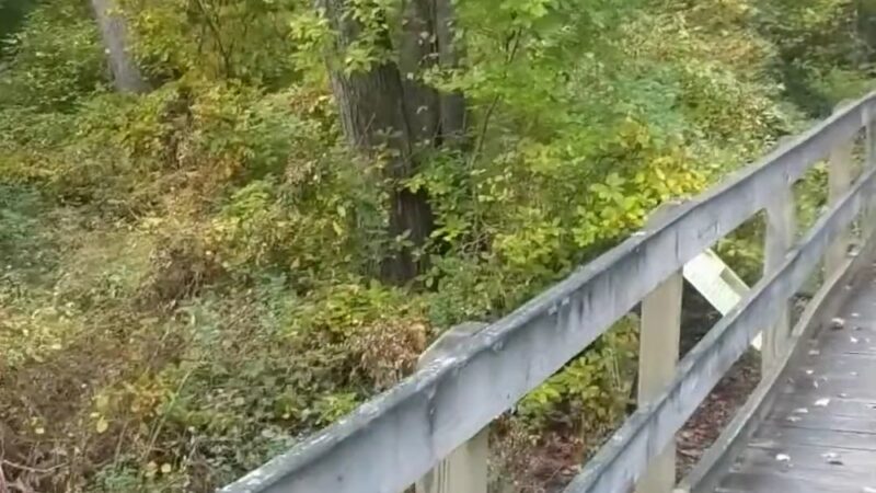 Big Oak County Park - Smyrna, DE