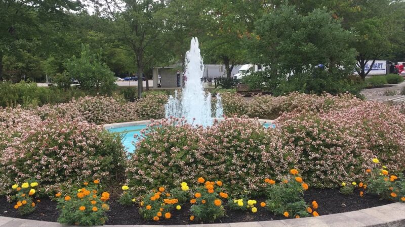 Smyrna Rest Area - Smyrna, DE