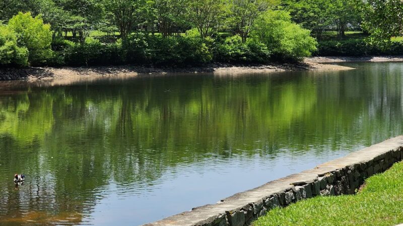 Briscoe Park - Sager Pavillion - Snellville, GA