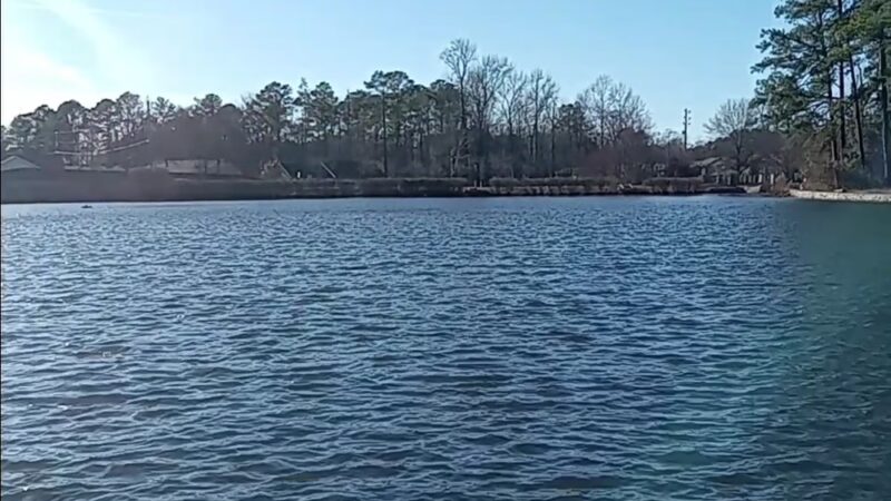 Briscoe Park - Sager Pavillion - Snellville, GA