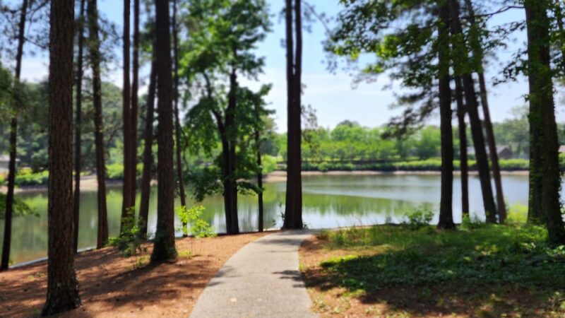 Briscoe Park - Sager Pavillion - Snellville, GA