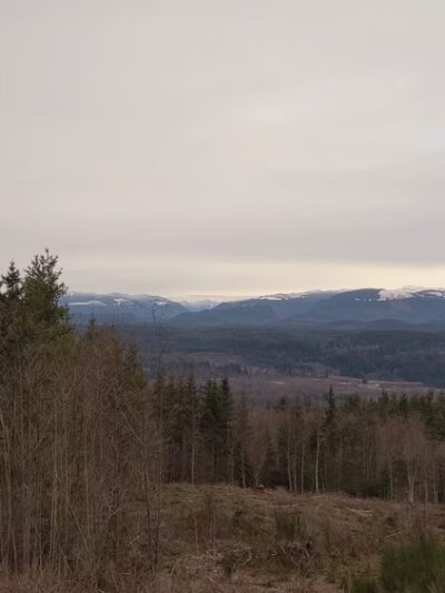 Snoqualmie Point Park - Snoqualmie, WA