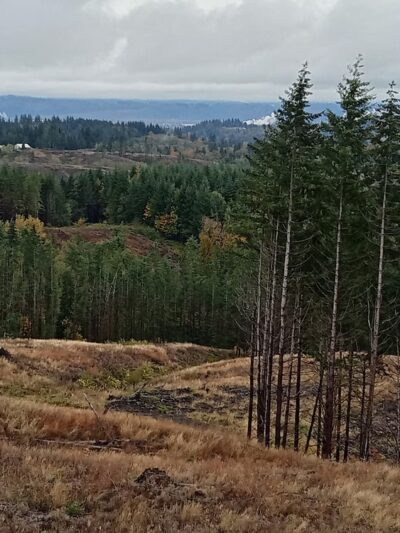 Snoqualmie Point Park - Snoqualmie, WA