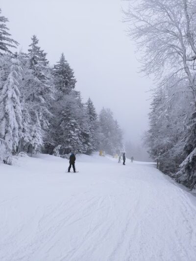 Snowshoe Mountain Resort - Snowshoe, WV