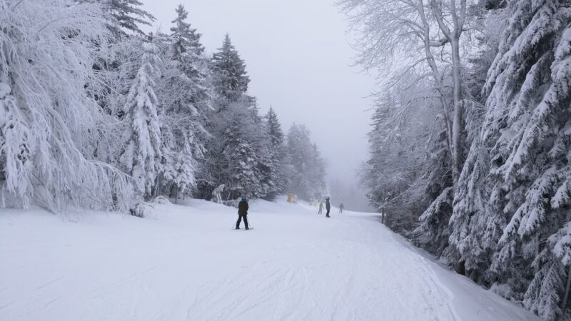 Snowshoe Mountain Resort - Snowshoe, WV