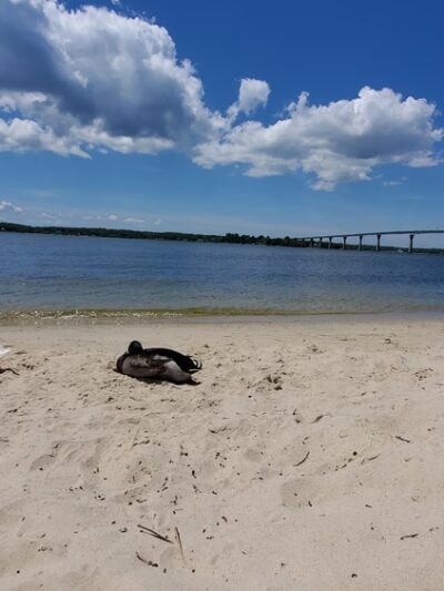 Solomons Boat Rental - Solomons, MD