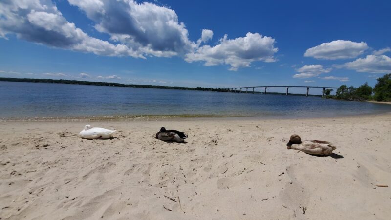 Solomons Boat Rental - Solomons, MD