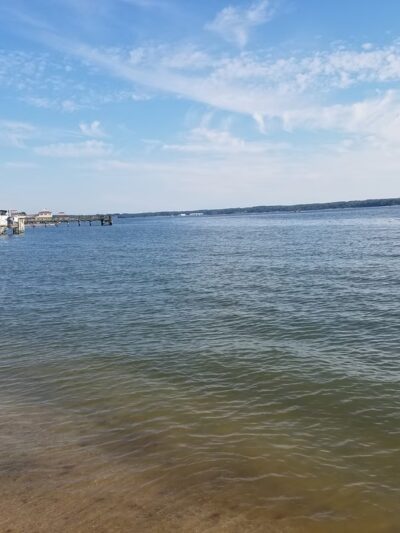 Solomons Boat Rental - Solomons, MD