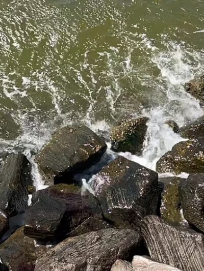 Solomons Island Boardwalk - Solomons, MD