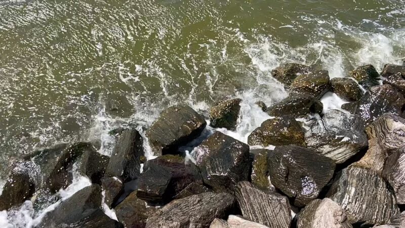 Solomons Island Boardwalk - Solomons, MD