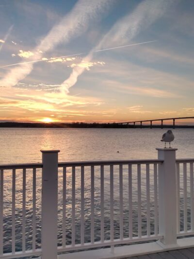Solomons Island Boardwalk - Solomons, MD