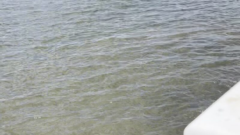 Solomons Island Fishing Pier - Solomons, MD