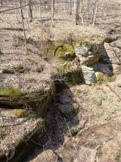 Canyon Forest Nature Preserve - Solsberry, IN