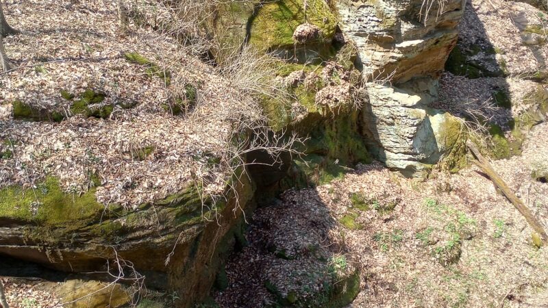 Canyon Forest Nature Preserve - Solsberry, IN