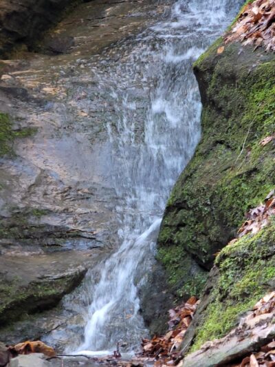 Canyon Forest Nature Preserve - Solsberry, IN