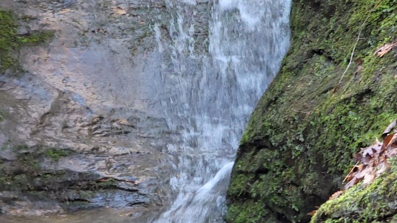 Canyon Forest Nature Preserve - Solsberry, IN