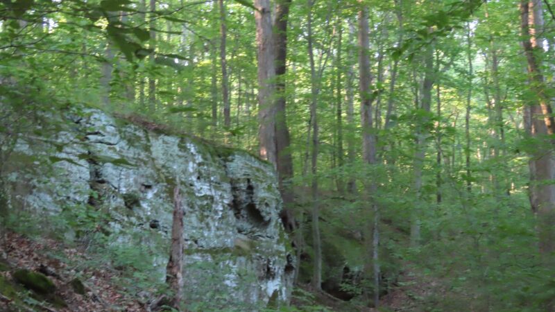 Canyon Forest Nature Preserve - Solsberry, IN