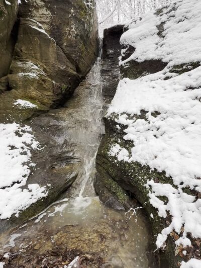 Canyon Forest Nature Preserve - Solsberry, IN