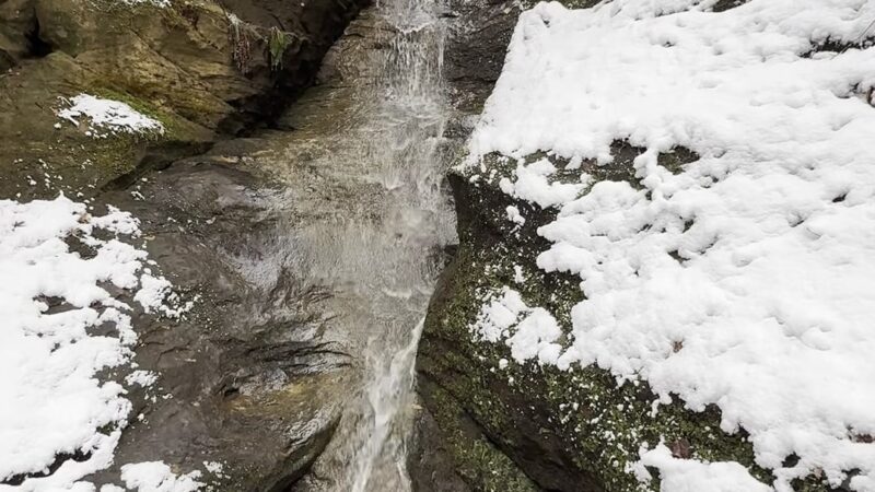 Canyon Forest Nature Preserve - Solsberry, IN