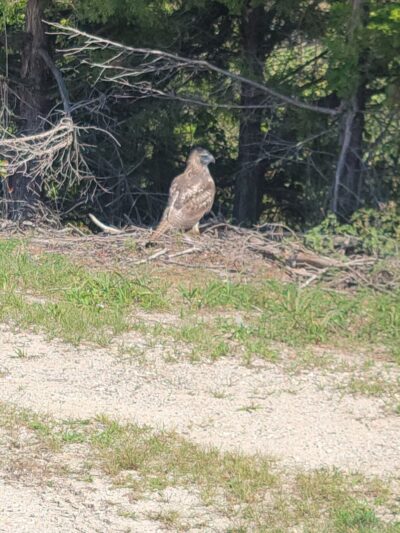 Great Egg Harbor Shared Use Path Trailhead - Somers Point, NJ