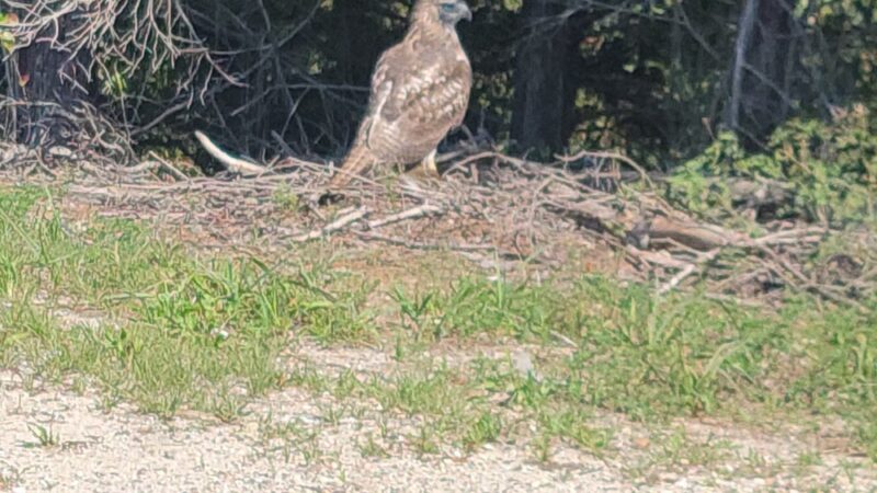 Great Egg Harbor Shared Use Path Trailhead - Somers Point, NJ