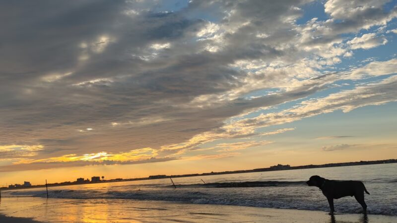 Malibu Dog Beach - Somers Point, NJ