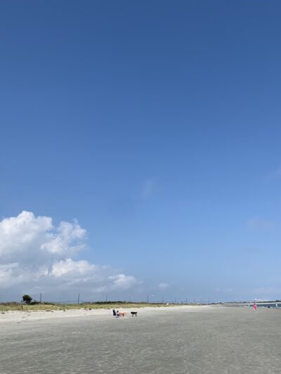 Malibu Dog Beach - Somers Point, NJ