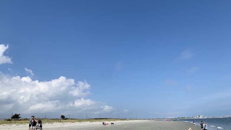 Malibu Dog Beach - Somers Point, NJ